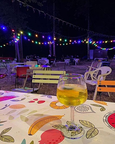 Guinguette des Bords de Vienne - Le Canoë-guinguette_3