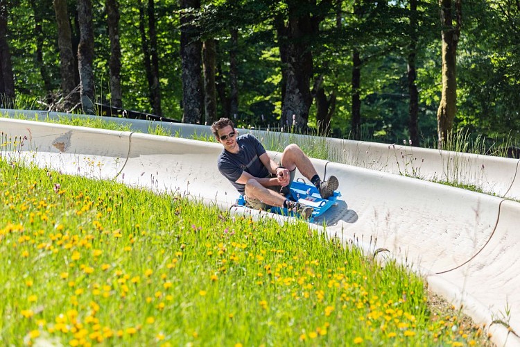 Summer tobogganing at La Schlucht