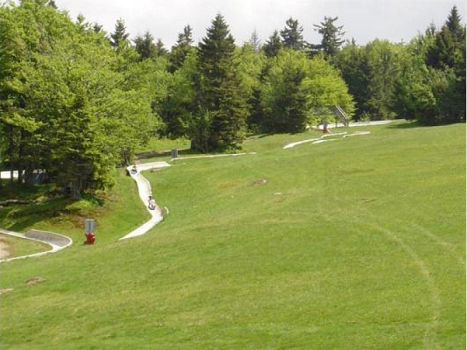 Luge d'été à la Schlucht