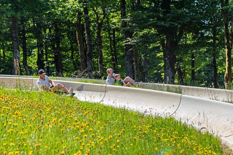 Zomersleeën bij La Schlucht