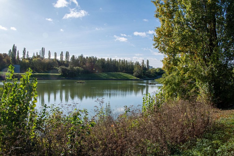 Sausset-Etang de Savigny