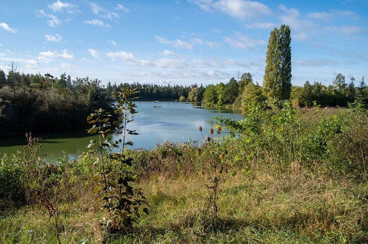 Sausset:étang de Savigny