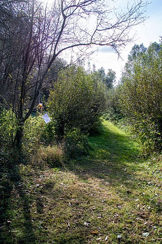 Sausset: le bocage