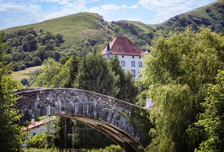 Village de Saint Etienne de Baïgorry - vue pont Château d'Etxauz