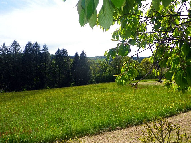 La Grange - Meublé de Tourisme CHASSAGNE_9