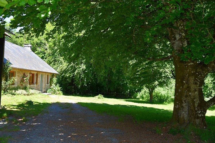 La Maison du Fermier - Meublé de Tourisme BEZEAUD_2