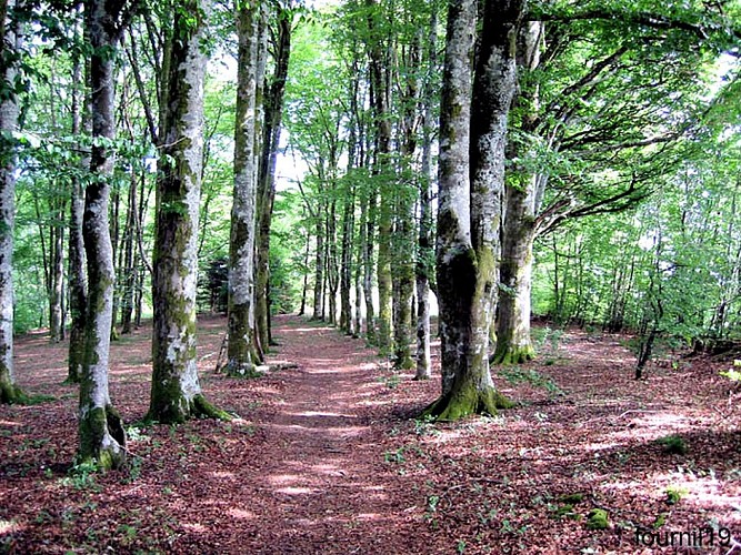 La Maison du Fermier - Meublé de Tourisme BEZEAUD_11