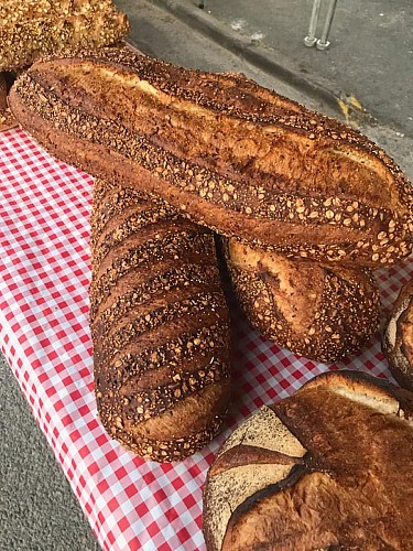 354957499_691979949402995_7342738740132126383_n