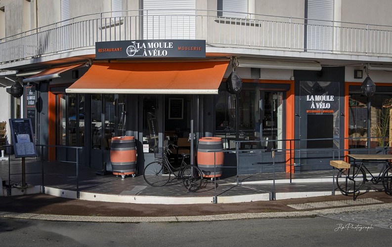 LA MOULE A VELO