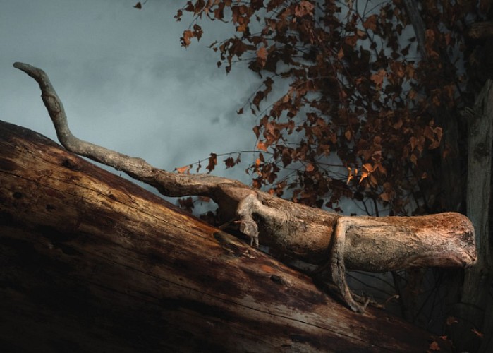 The 1001 Roots Museum