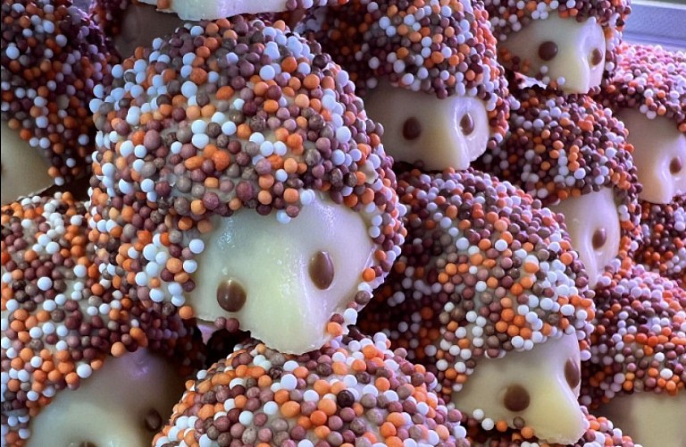 Capture d'écran 2023-11-06 113734