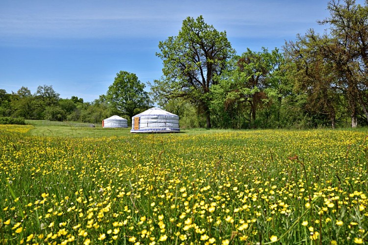 Yourtes Nature évasion