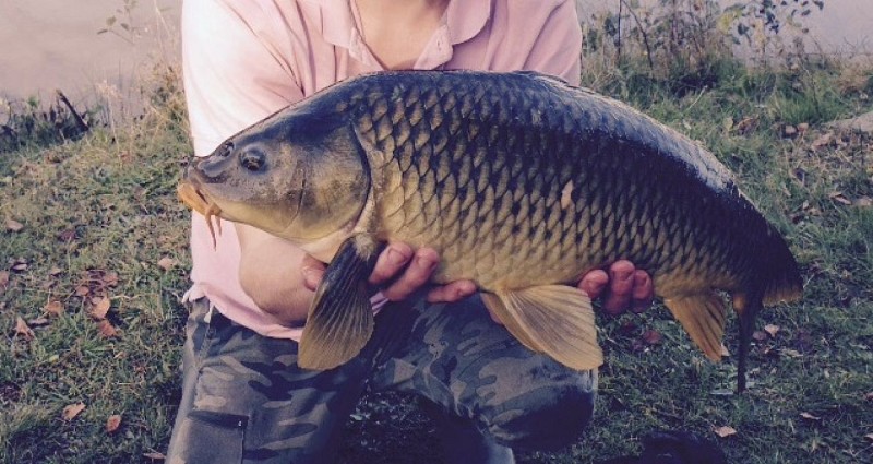 Location La Hutte Gauloise - Domaine Moulin de Lachaud_10