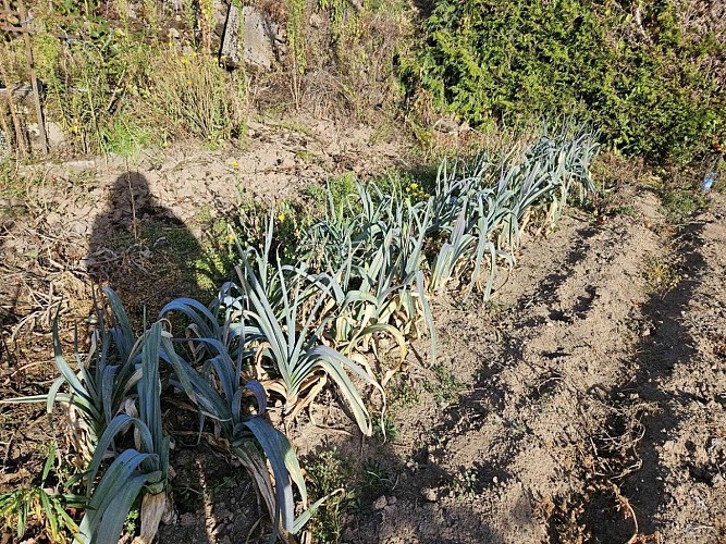 Location Gîtes de France - Réf : 19G4092