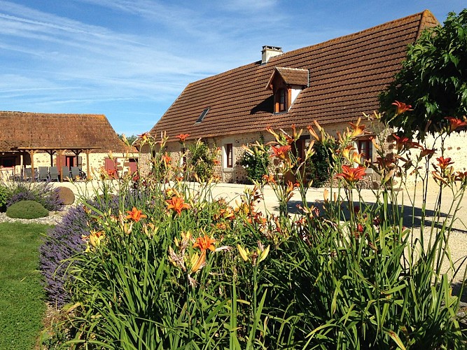 Mapellous pour brochure