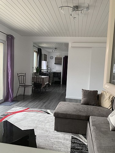 gîte borros-Srt Sauveur-Lande-salon2