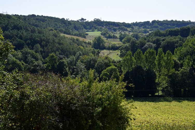 Logis-de-Marthe-Vue sur la vallée depuis la chambre