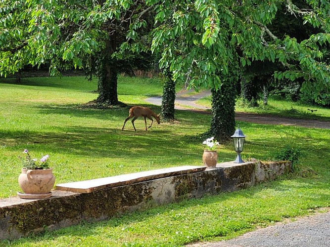 gite-le-faurillou-jaure