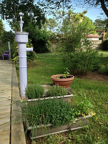 Location de vacances sur le Bassin d'Arcachon à Lanton Gîte Kayola