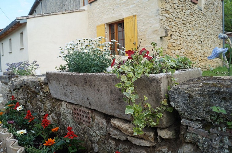 DSC02720