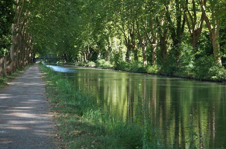CANAL-6