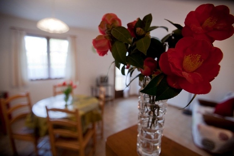 Les Fermettes du lac 