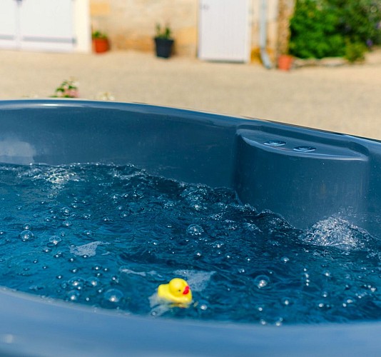 Le bain à remous chauffé au bois et la cour privée