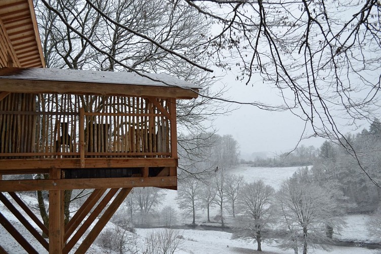 Hébergement insolite "Carrément Perchée"_7