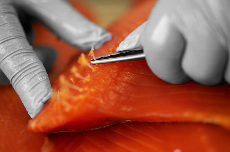 Der Fumet des Dombes