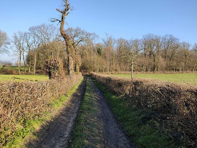 chemin du Champ Lart 