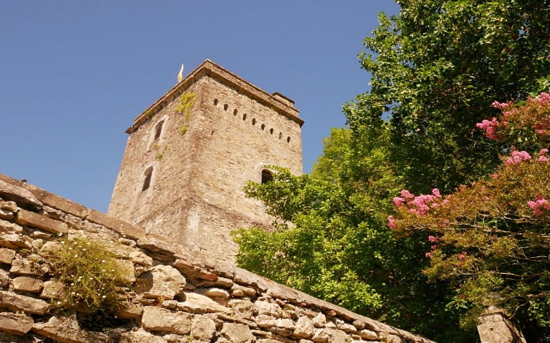 chateau de coarraze