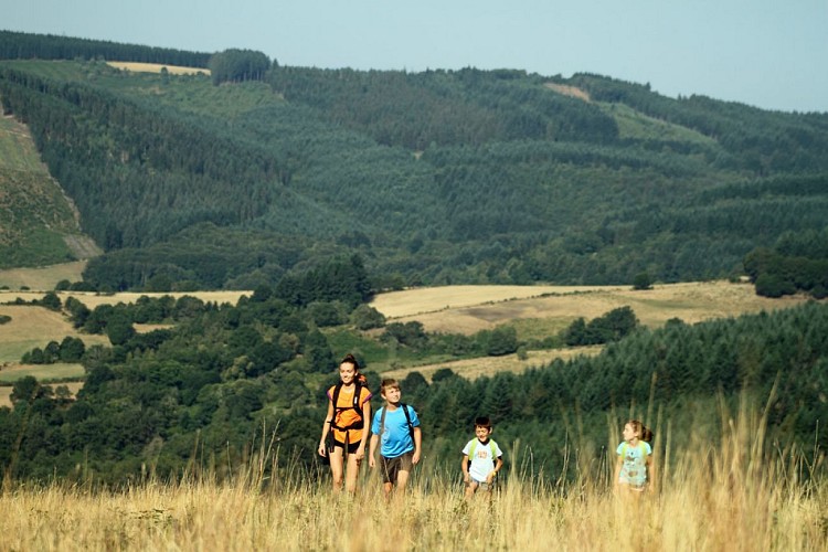 Le Parc naturel régional de Millevaches et ses 14 sites labellisés Natura 2000