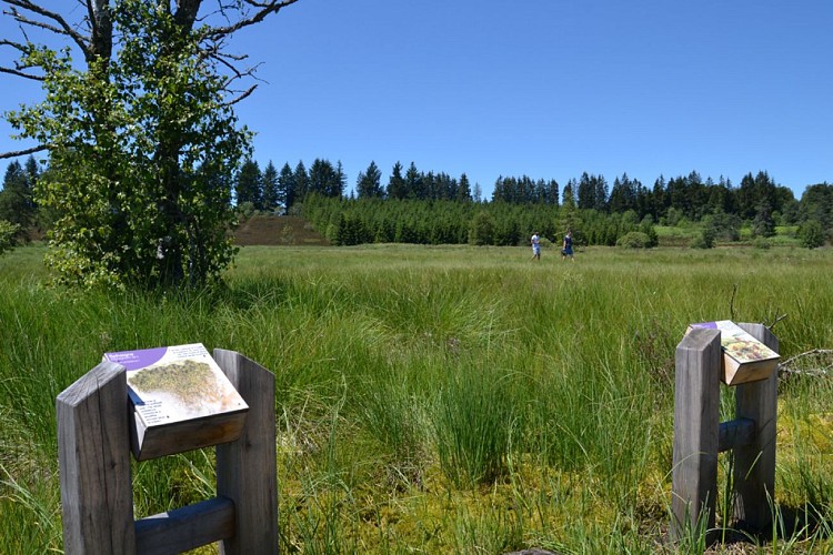 Le Parc naturel régional de Millevaches et ses 14 sites labellisés Natura 2000_2