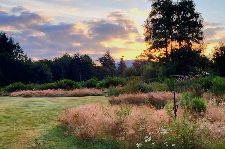 IMG_20240811_125022_760(1) (2)