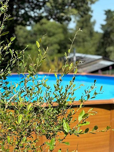 Pool at Le Ranch