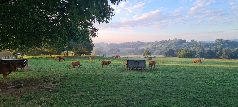 Camping du Bois Coutal