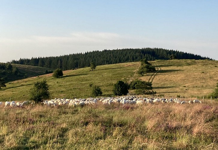 Ferme_de_la_Monédière_1