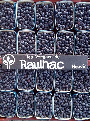 Les Vergers de Raulhac