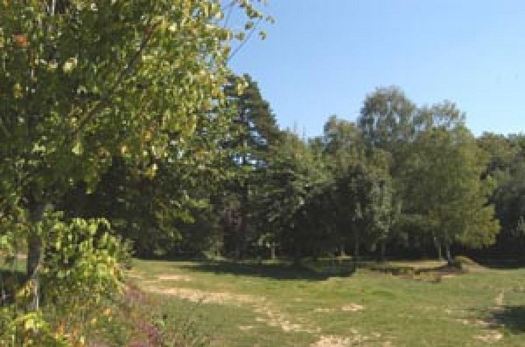 Camping municipal de la Méchaussie_1