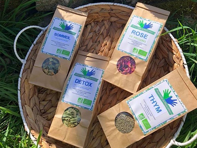 Main Verte et Main Bleue