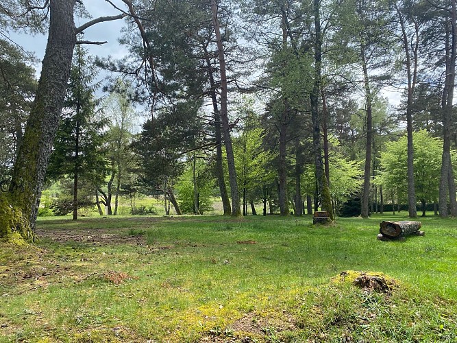 Camping Au Coeur du Parc Only camp