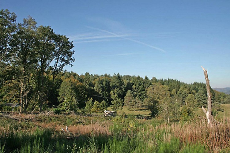 Camping municipal des Monédières_4