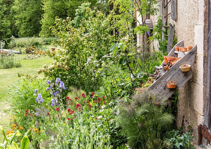 Mini camping le petit patural_1