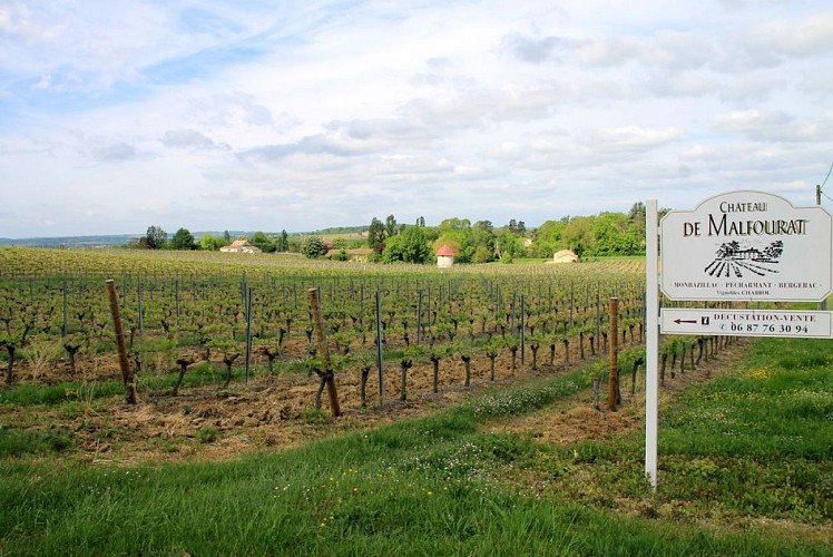 Autour de Monbazillac_Château malfourat (64)_2