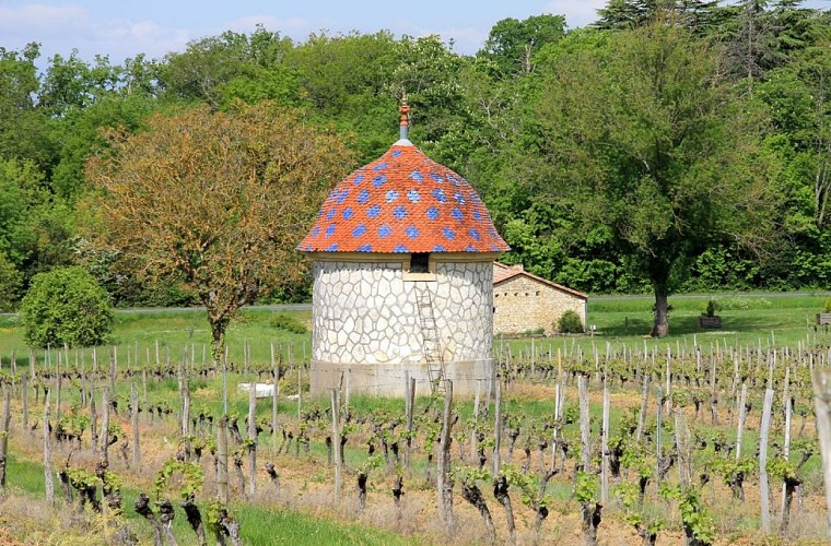 Autour de Monbazillac_Château malfourat (75)_2