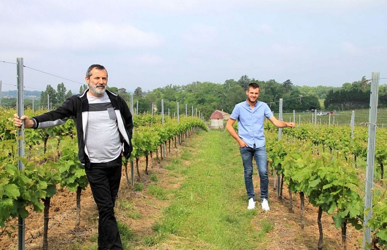 Autour de Monbazillac_Château malfourat (43)_2