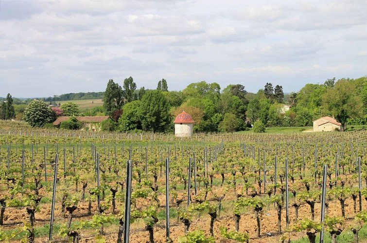 Autour de Monbazillac_Château malfourat (61)_2