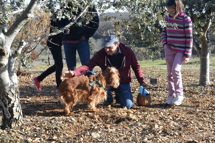 truffiere-garrigue (1)