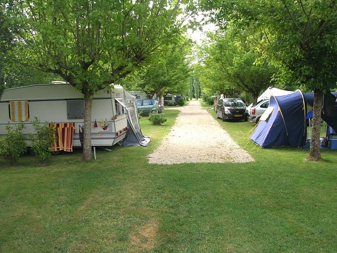 camping Neuvic, allée ombragée