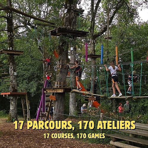 Aire de pique nique ombragée - 2